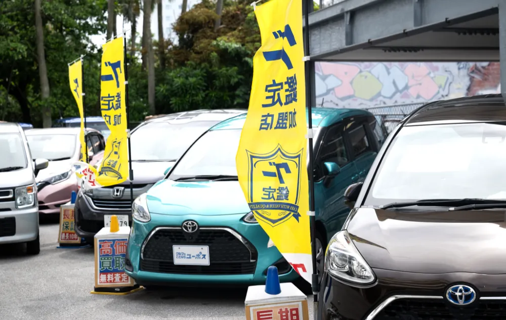 ベイオークについて