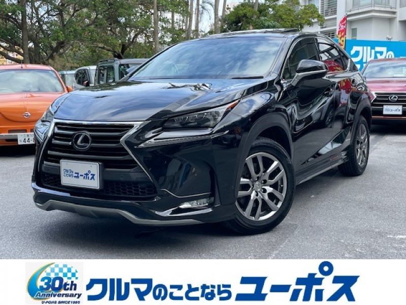 NX　入庫しました