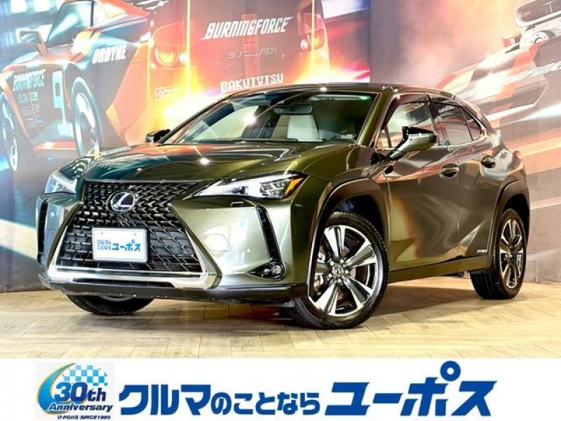 UX　入庫しました