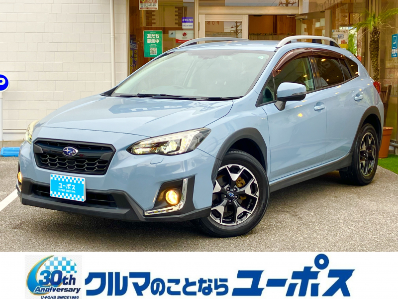 XV　入庫しました